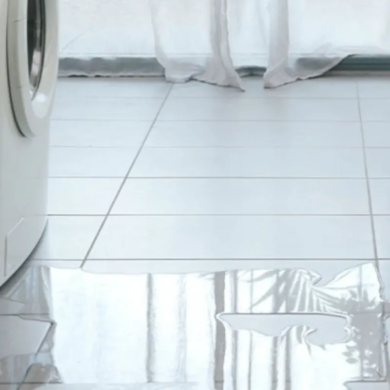 Appliance Leak Cleanup in West Ocean City, MD